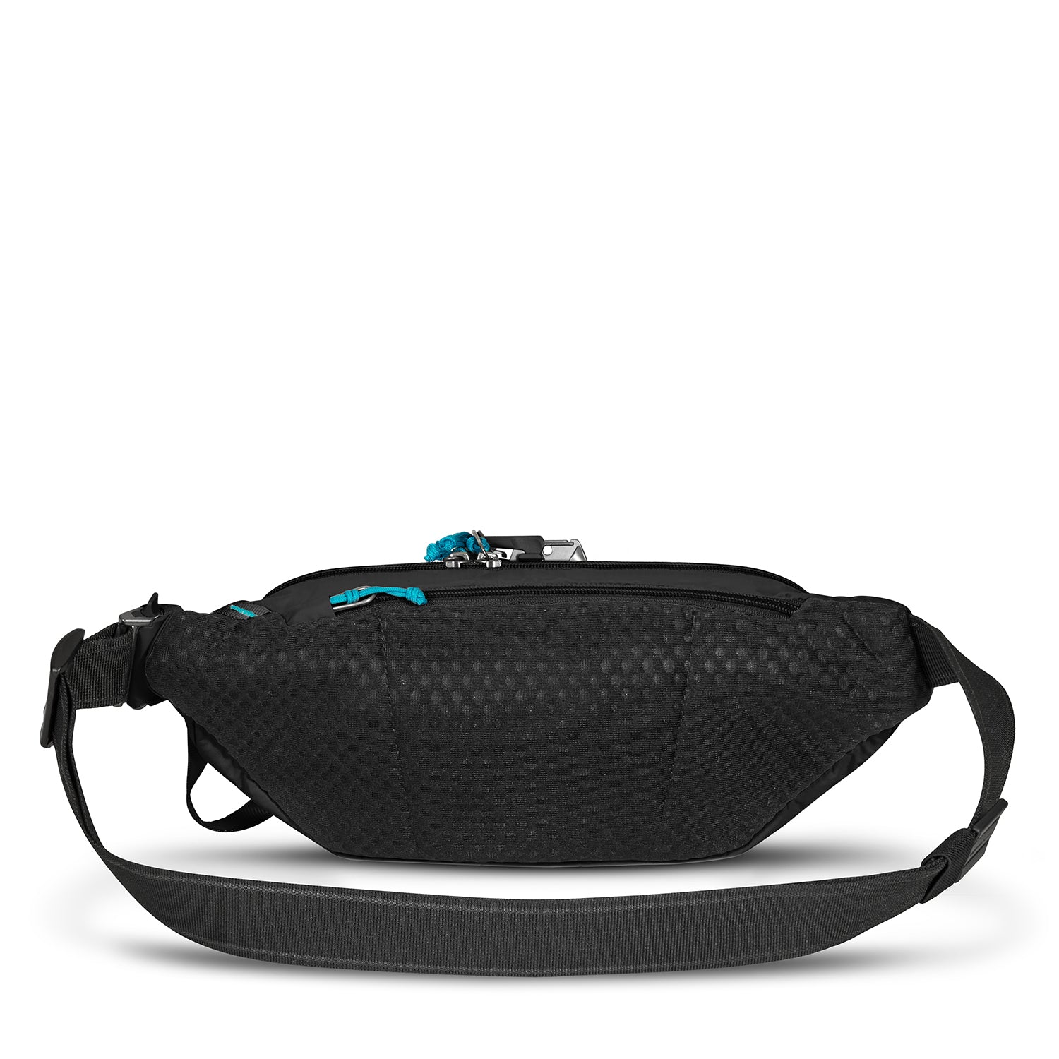 Pacsafe hotsell hip bag